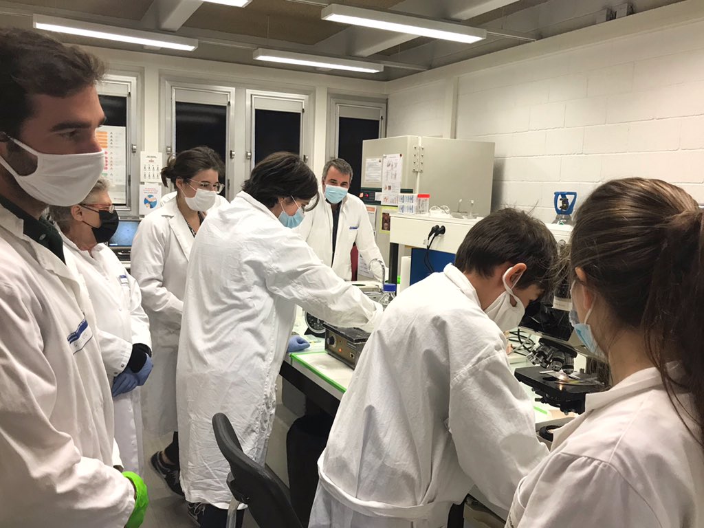 CNRS_Villejuif's tweet photo. #CNRSinsolite 🧑🔬 Nouvelle #visiteinsolite au #B3OA ! Les participant•es ont découvert la composition et la structure des os, la manière dont ils se reconstruisent en permanence, et ont même pu réaliser leurs propres colorations d’os 🦴
@Univ_Paris @CNRS @Inserm @INSIS_CNRS https://t.co/Mxhf3SZ41Z