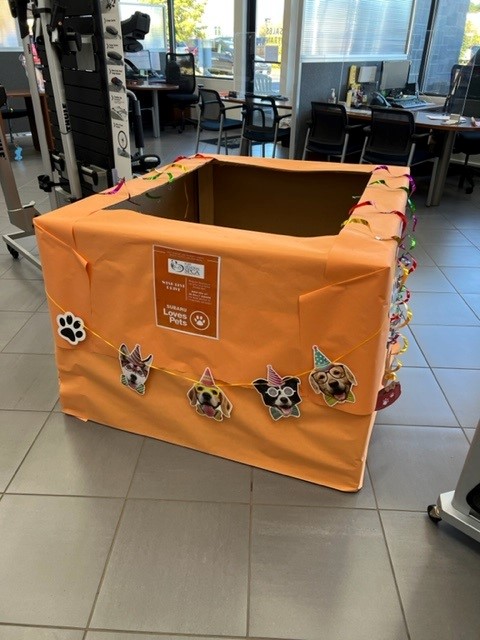 EdReillySubaru's tweet photo. Our showroom is decorated and ready to accept your donations for Pope Memorial SPCA! 🧡 Drop your donations in this box at our store during #SubaruLovesPets month. 

Learn more: https://t.co/2SeaHh4Z2S https://t.co/hb0jbZByZo