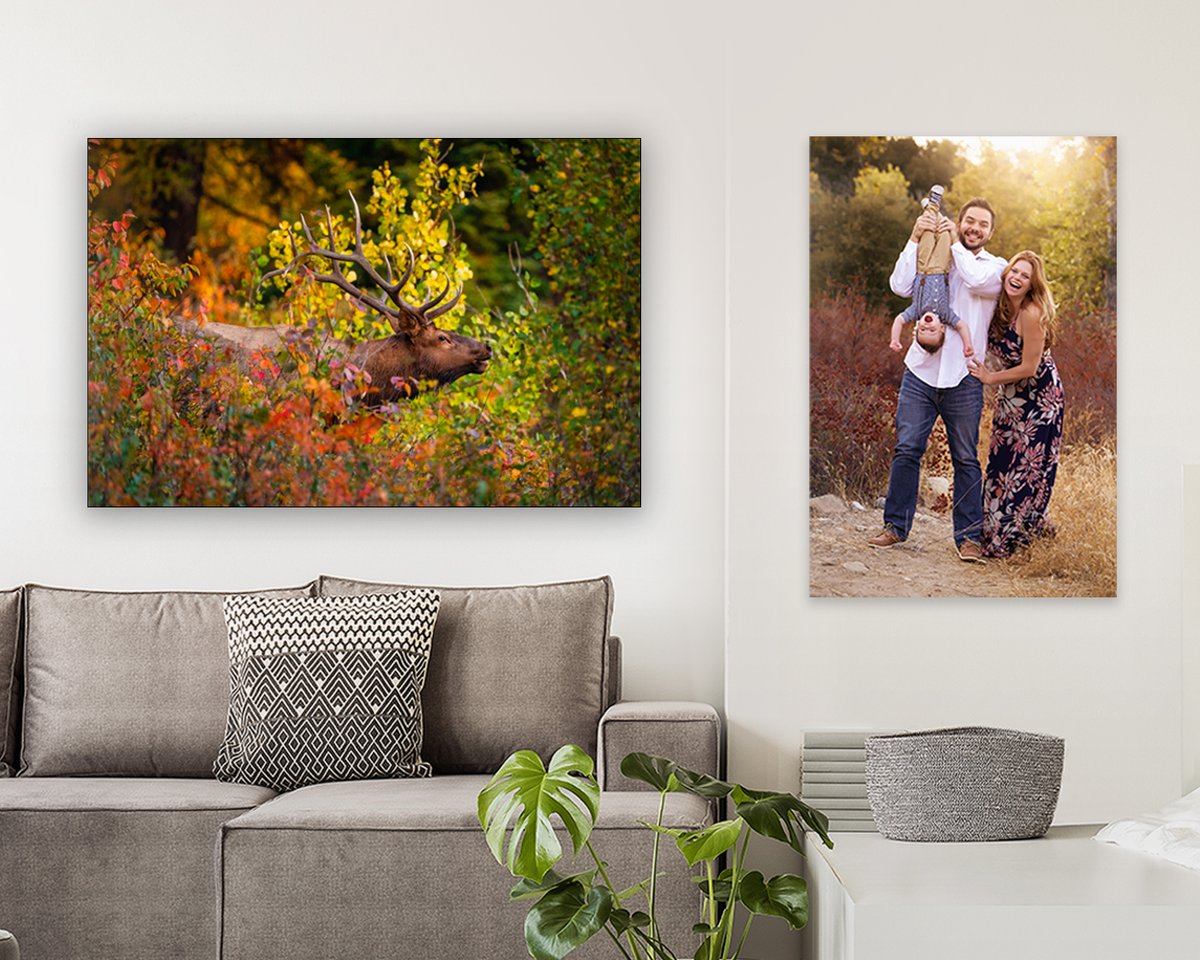 Now thru 10/13, save 20% Off 2 popular sizes on our most popular medium! 20x30 & 24x36 High Gloss MetalPrints create vibrant wall displays for all images and MetalPrints are the perfect choice when image quality, durability, and cleanliness matter most. 👉 bit.ly/3mABh5z