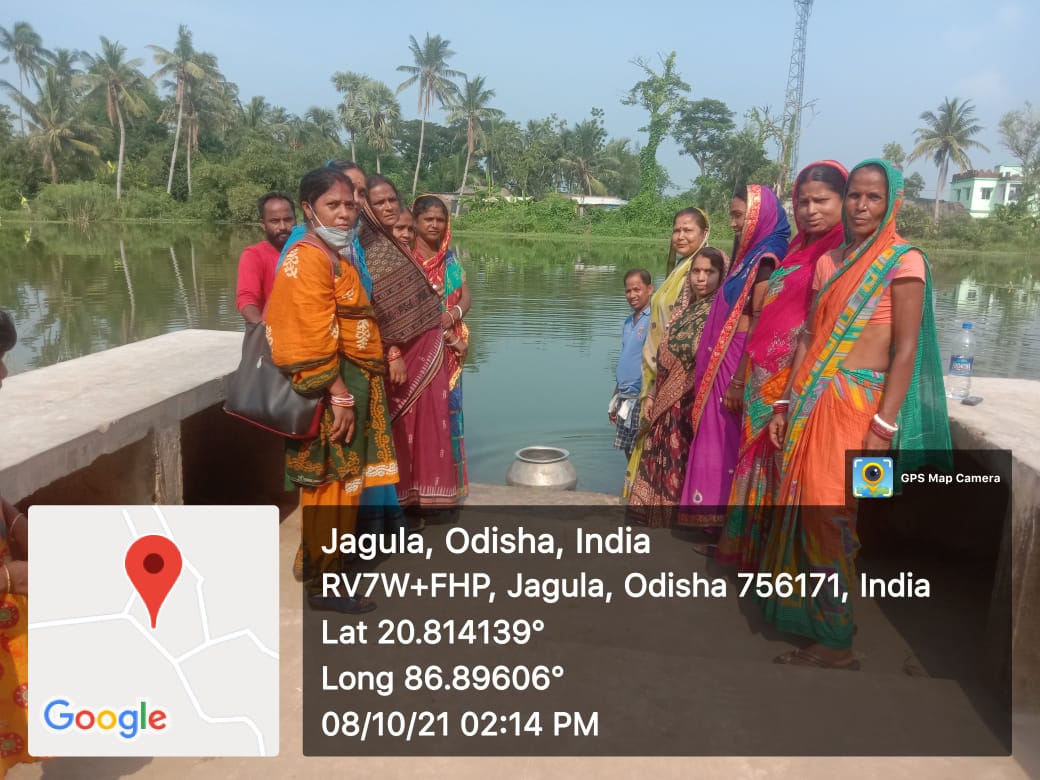 ChandbaliI's tweet photo. Stocking in advance fingerlings in Kaupal GP Tank, Jagula GP and Mahadeba GP Tank, Dhamara GP in presence of BPC mission shati and WSHG members in Chandbali-I ICDS Project @DM_Bhadrak @BhadrakDswo @DPMU_MS_Bhadrak https://t.co/ka1oBWRZnS