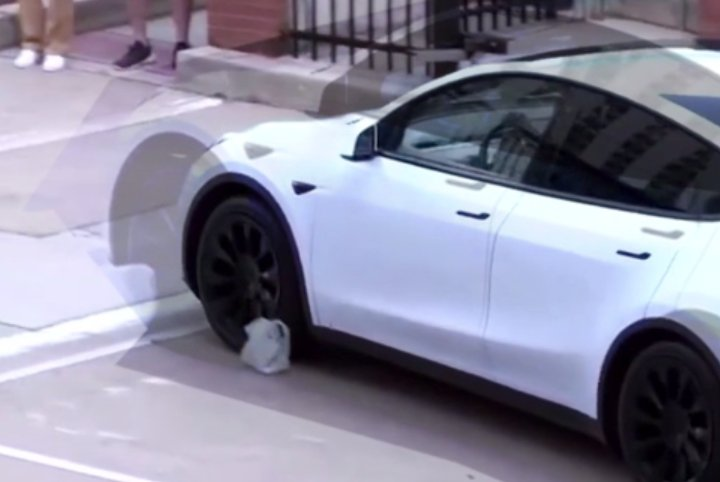 webmonkees's tweet image. Tesla automated litter avoidance #futureproblem