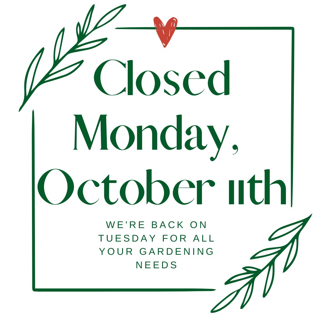 TandTSeeds's tweet photo. We're closed Thanksgiving Monday but open Saturday, 9-4 and back again on Tuesday, 9-5. https://t.co/HJlzmXJiiI