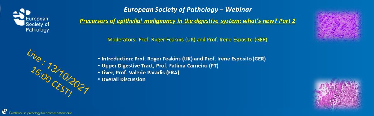 European Society of Pathology (ESP) (@esp_pathology) on Twitter photo <a href="/ESP_Pathology/">European Society of Pathology (ESP)</a> is pleased to announce a Digestive Diseases free webinar: "Precursors of epithelial malignancy in the digestive system: what’s new?". Speakers: Fatima Carneiro, PT and Valerie Paradis, FR. ESP members can register via the ESP website: esp-pathology.org/educational-po… <a href="/ESP_Pathology/">European Society of Pathology (ESP)</a> is pleased to announce a Digestive Diseases free webinar: "Precursors of epithelial malignancy in the digestive system: what’s new?". Speakers: Fatima Carneiro, PT and Valerie Paradis, FR. ESP members can register via the ESP website: esp-pathology.org/educational-po…