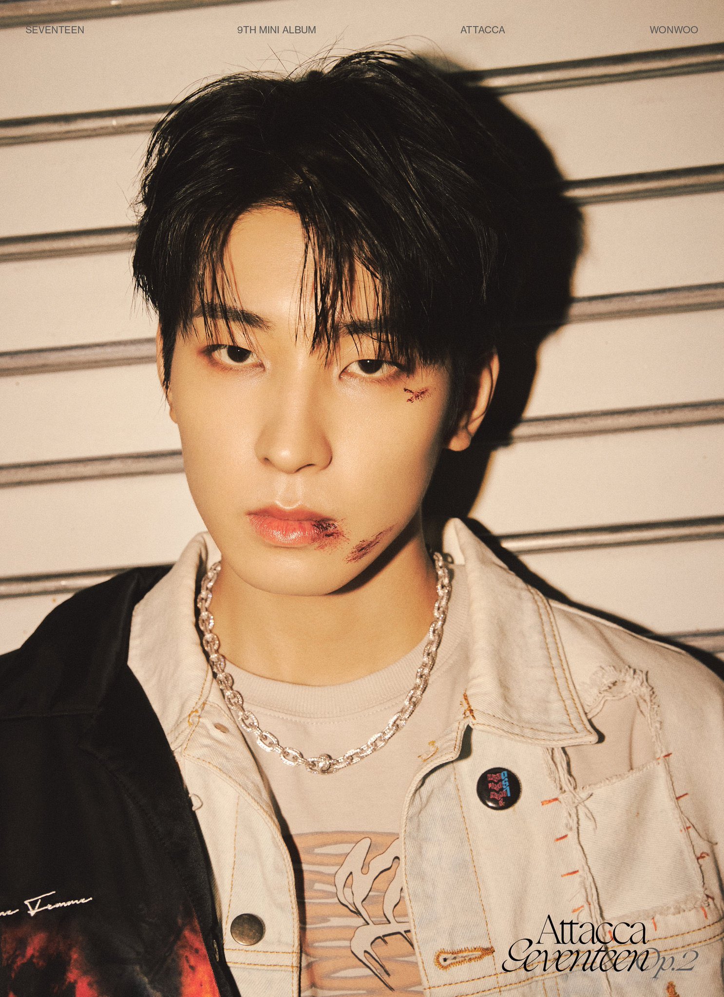 【1159】SEVENTEEN attacca beatroad ウォヌ 61XjgEIqpSL._UF350,350_QL80_.jpg
