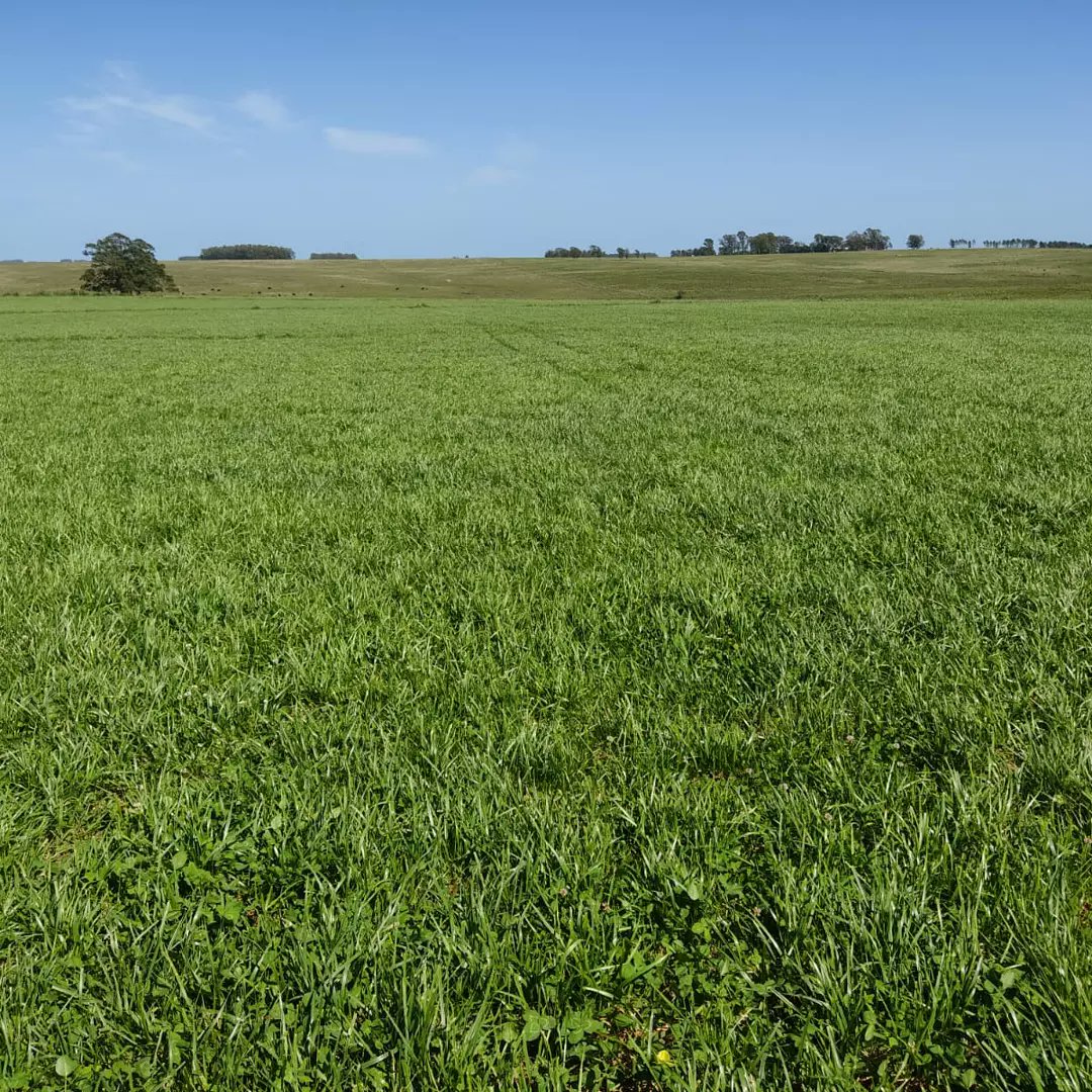 PraderAgro tweet media