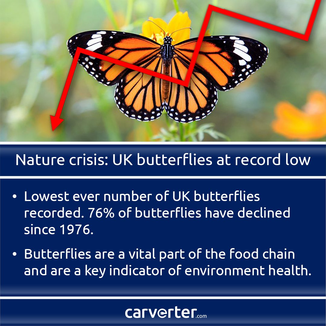 carverter_uk's tweet photo. #carleasingdeals #electricvehicle #EV #electriccars #sustainability #climatechange #globalwarming #lanciadelta #butterflies 🦋📰 https://t.co/4nx7zHrhds