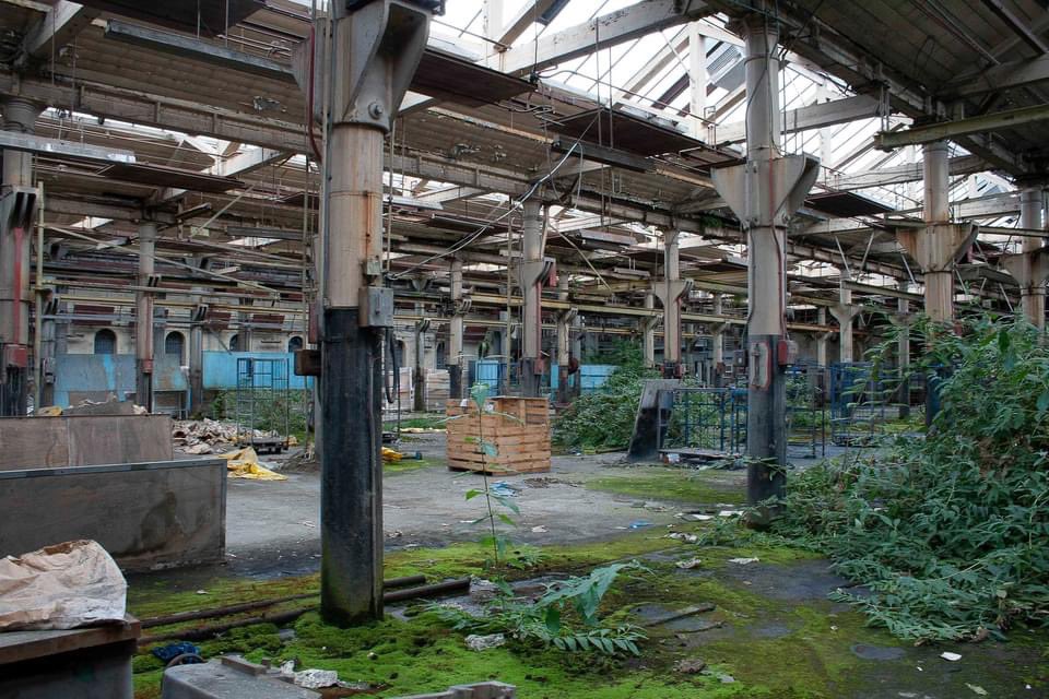 Pamela de Brí tweet media