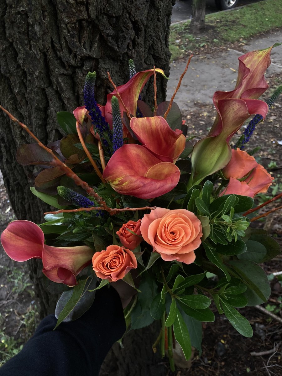 Hallowe’en is almost here! Click through below to learn about how to decorate for the season with plants and flowers in darkly-beautiful style.

ecostems.ca/blog/halloween/