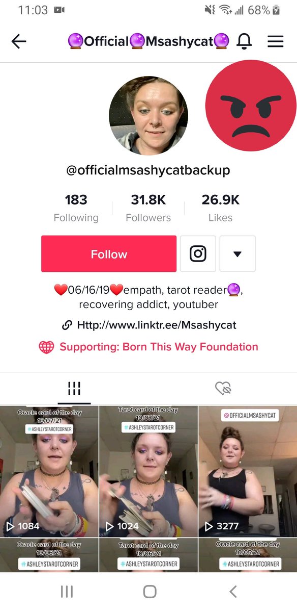 DEPLATFORMMSASHYCAT tweet media