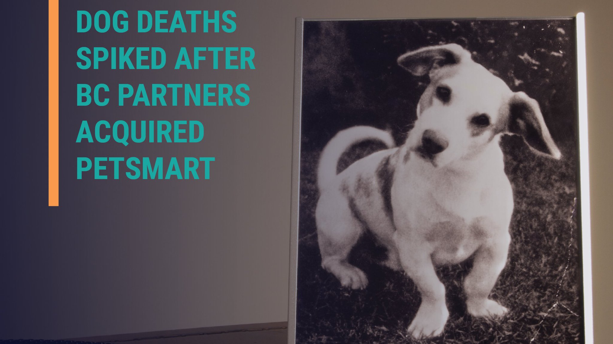 United for Respect on Twitter "Since BC Partners acquired PetSmart in