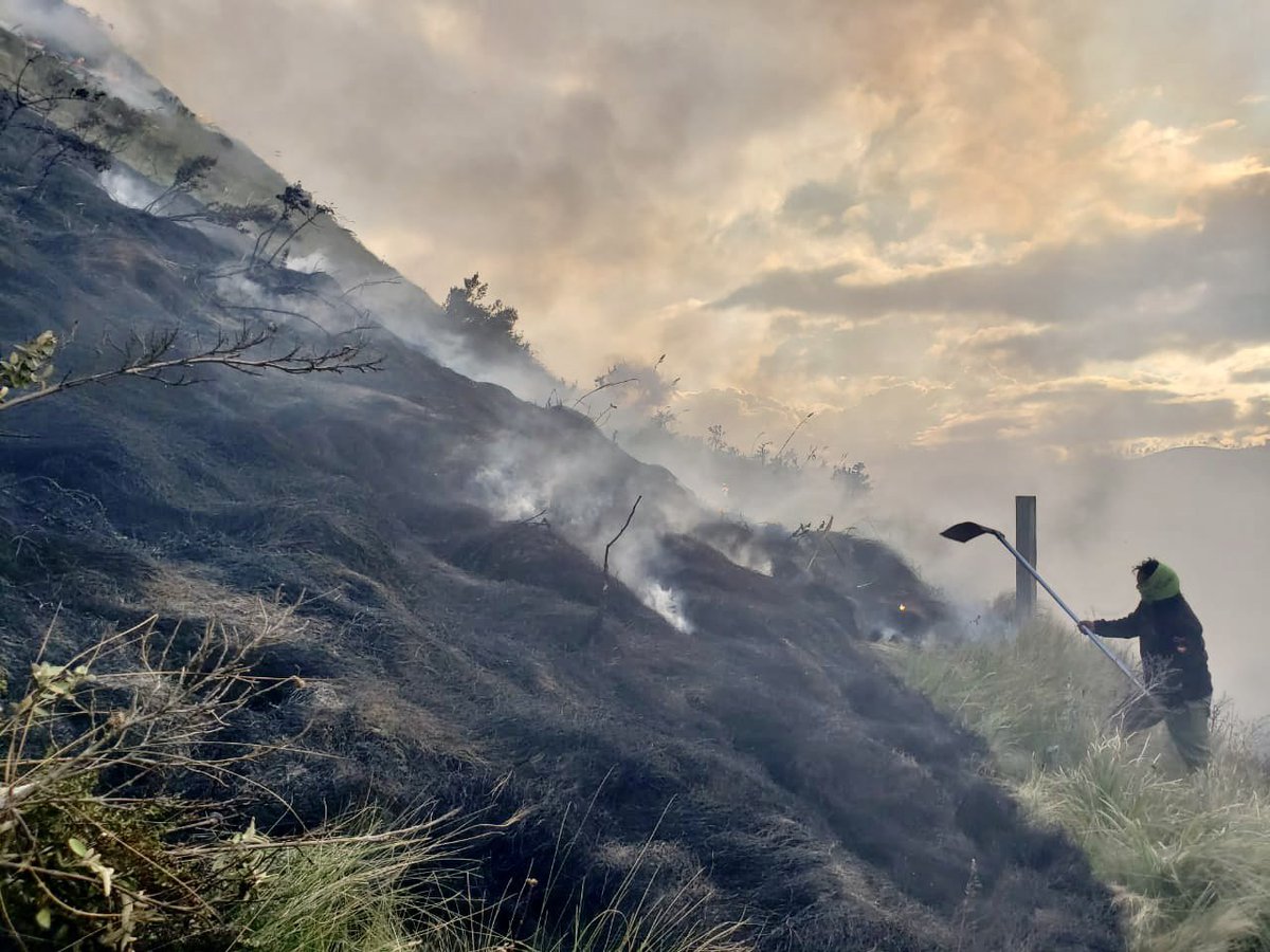 MAE_Zonal2's tweet photo. #Pichincha | Nuestro equipo del Parque Nacional Cayambe Coca combatió un conato de incendio que se suscitó en los límites del área protegida en el sector de Sayaro. En las acciones de mitigación colaboraron #NuestrosGuardaparques, @CayambeBomberos, #RROB, y comunidad. https://t.co/nDpXOh7hac