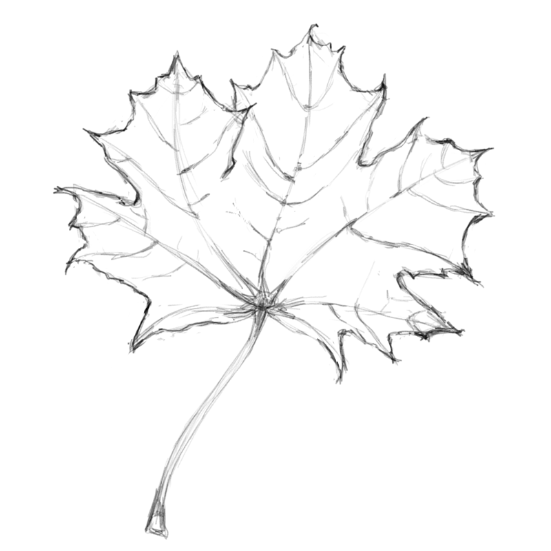 wormwood_tea's tweet photo. 🍁#digitalart https://t.co/XomUclF25p