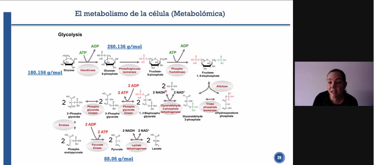 GenomicdayM's tweet photo. Aprendiendo de metabolómica con la Dra Claudia Cuervo en #genomicday https://t.co/TWtqb9y6tv