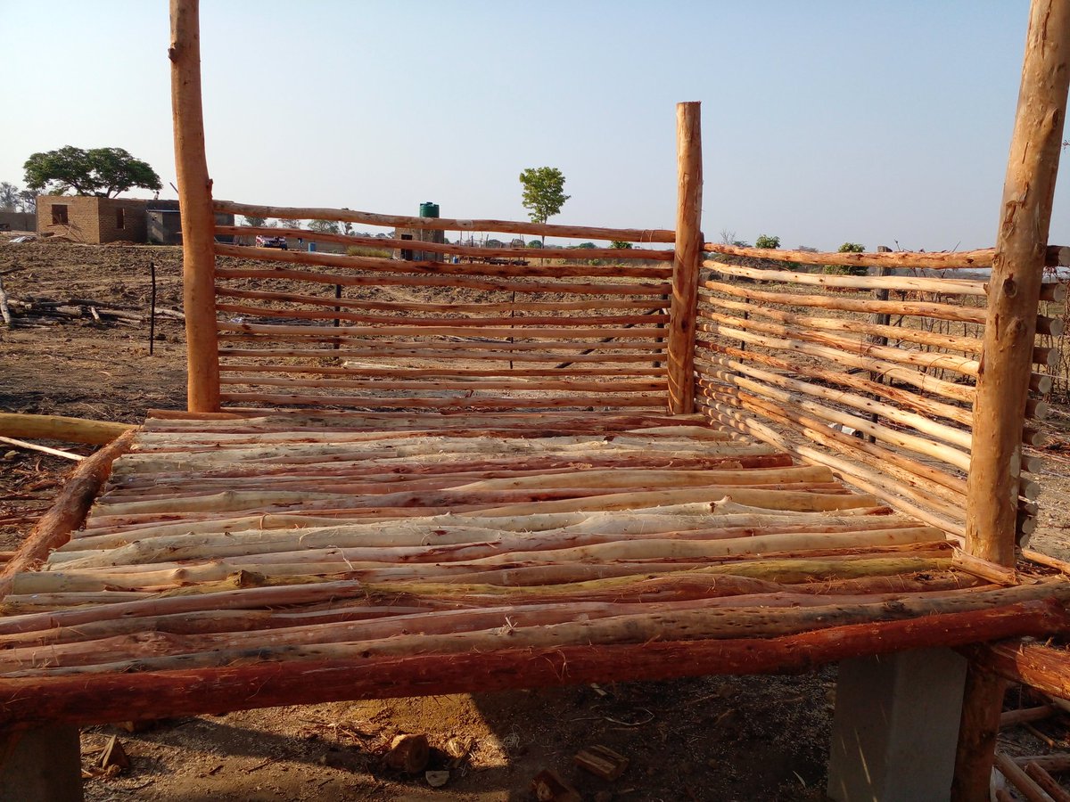 Farming Couple 🇿🇼 tweet media