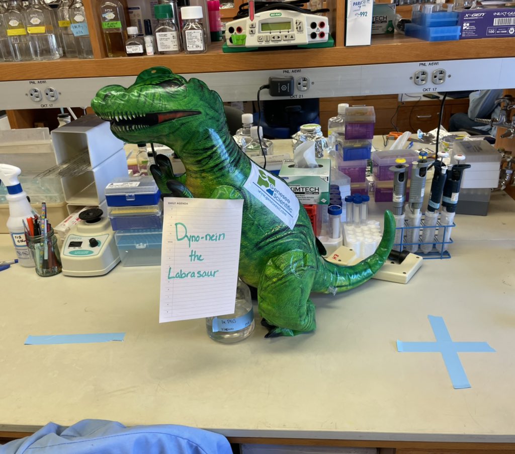 New lab mascot would like to wish everyone a dynamite Friday!