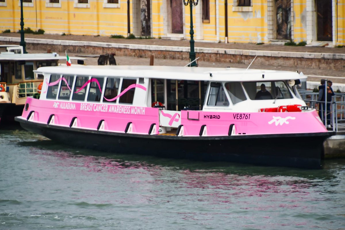 SimonVenturini's tweet photo. #SALUTE • È tornato il vaporetto rosa🎀

L'imbarcazione della prevenzione del tumore al seno ha effettuato il suo viaggio inaugurale attraverso il Canal Grande.

Obiettivo delle prossime tappe sensibilizzare alla diagnosi oncologica precoce.

Dettagli https://t.co/Wd0gR9AJcH https://t.co/cC6f4TbpQ7