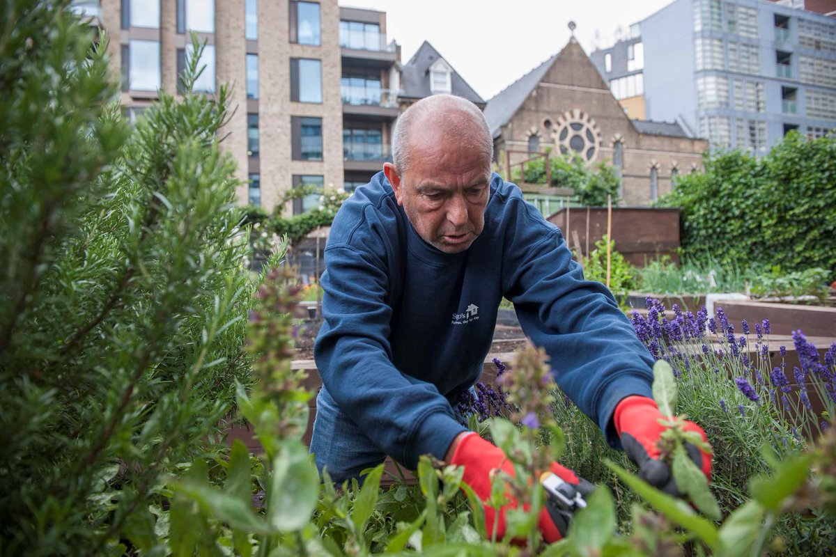 Sunday is #WorldHomelessDay and we’re supporting @StMungos to deliver hundreds of sessions and thousands of learning hours of Putting Down Roots, helping to give people in London & Bristol horticultural skills and confidence to move away from homelessness and rebuild their lives.