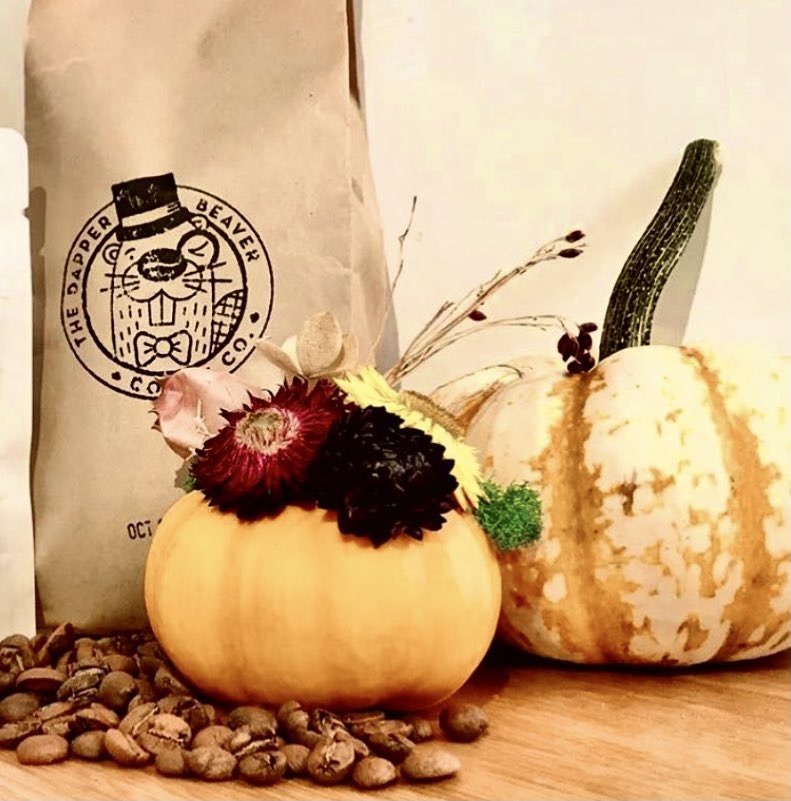 TheDapperBeaver tweet media