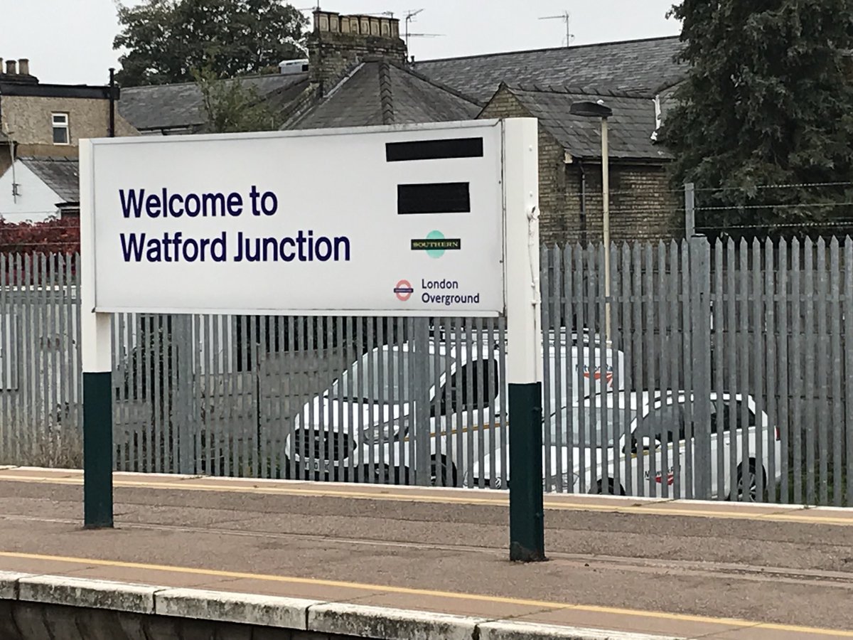 Elizabeth Hale tweet media