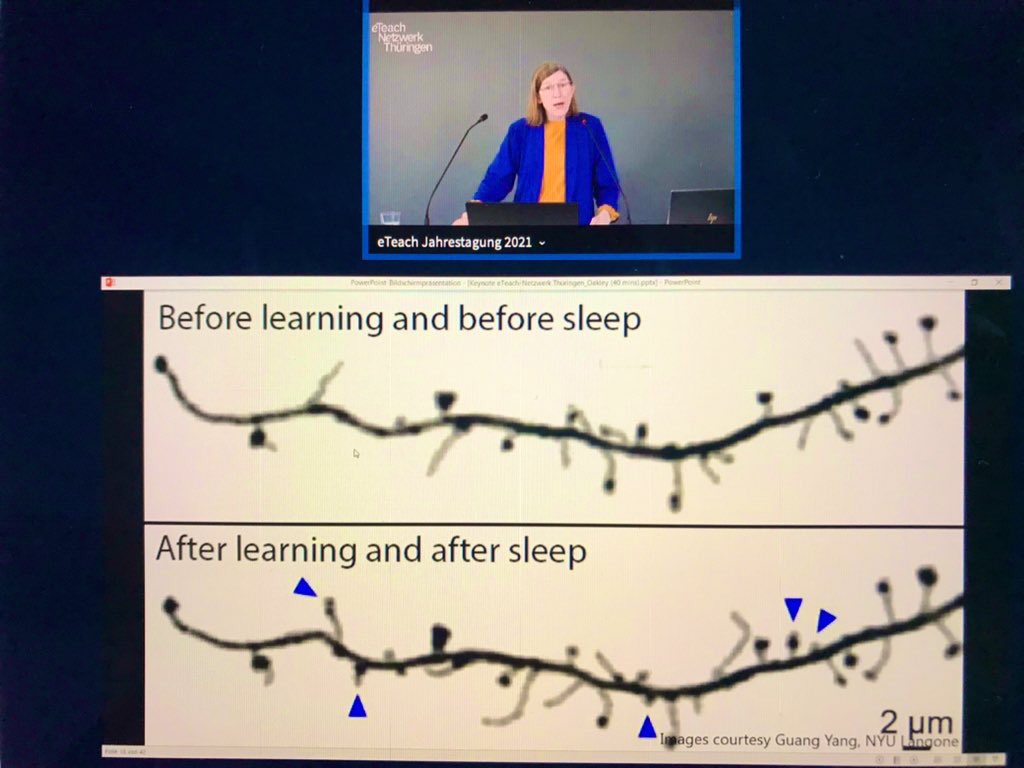 SunSue's tweet photo. Schlaf ist essentiell, denn erst dadurch kann unser Gehirn Information verarbeiten und wichtige Verbindungen aufbauen, so Prof. Barbara Oakley (Autorin von Uncommon Sense Teaching) bei ihrer Keynote “Rethinking Active Learning” #eTeach-Jahrestagung  @bauhaus_uni https://t.co/1f4N25NDIO