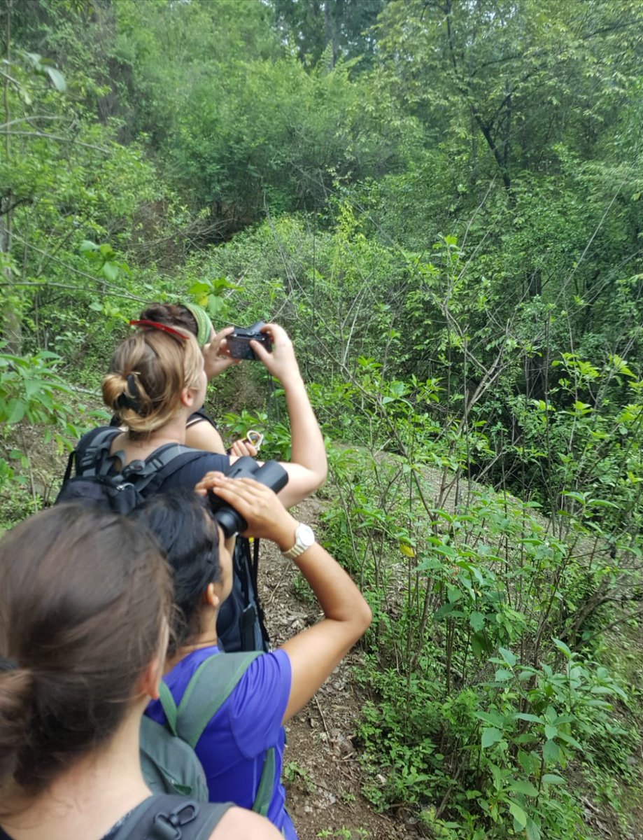 MaasBea's tweet photo. Please RT! 📢🤩💚

We are hiring a #PhD for our 3-year project on #cacao #biodiversity in #Peru &amp; feel excited to continue our research on #birds, #bats &amp; #arthropods in this international and trans-disciplinary team!

Apply until 31 Oct 
👇🐦🌳🦇🌳🍫👇
https://t.co/A0FguKGw1c https://t.co/ZF8AFpZP1L