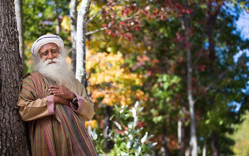 SadhguruJV's tweet photo. We are looking for something spectacular all the time. It is time we understand the most beautiful aspects of life happen slowly, gently, without any fireworks or drama. #SadhguruQuotes https://t.co/ShQfXUbVxa
