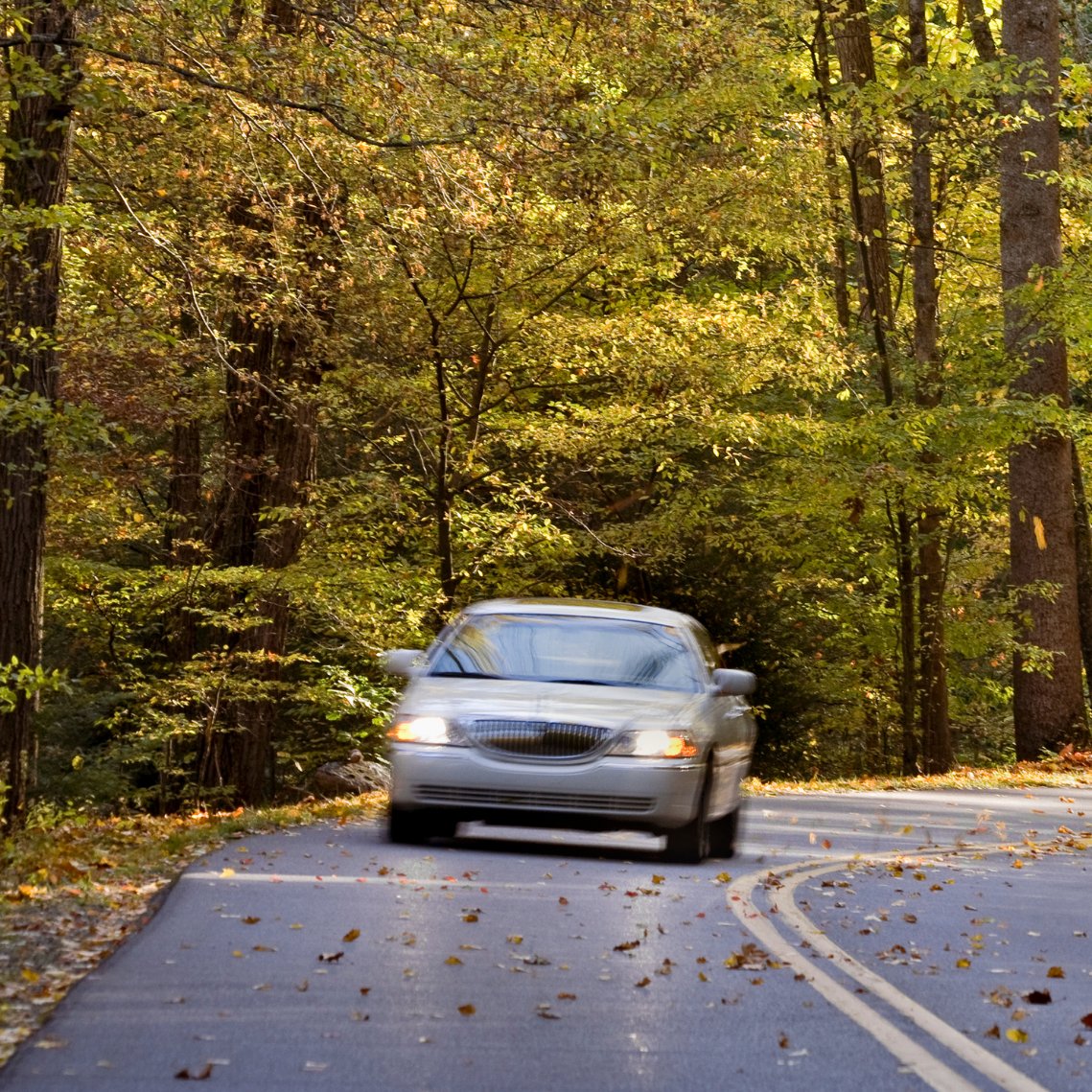 Slippery roads and poor visibility, Autumn can be a hazardous time for drivers. If you find yourself driving during an early autumn sunset remember to ensure your windscreen is clean and free from smears enhanced by low sun to avoid dazzle. 

#AutumnDriving 🍂