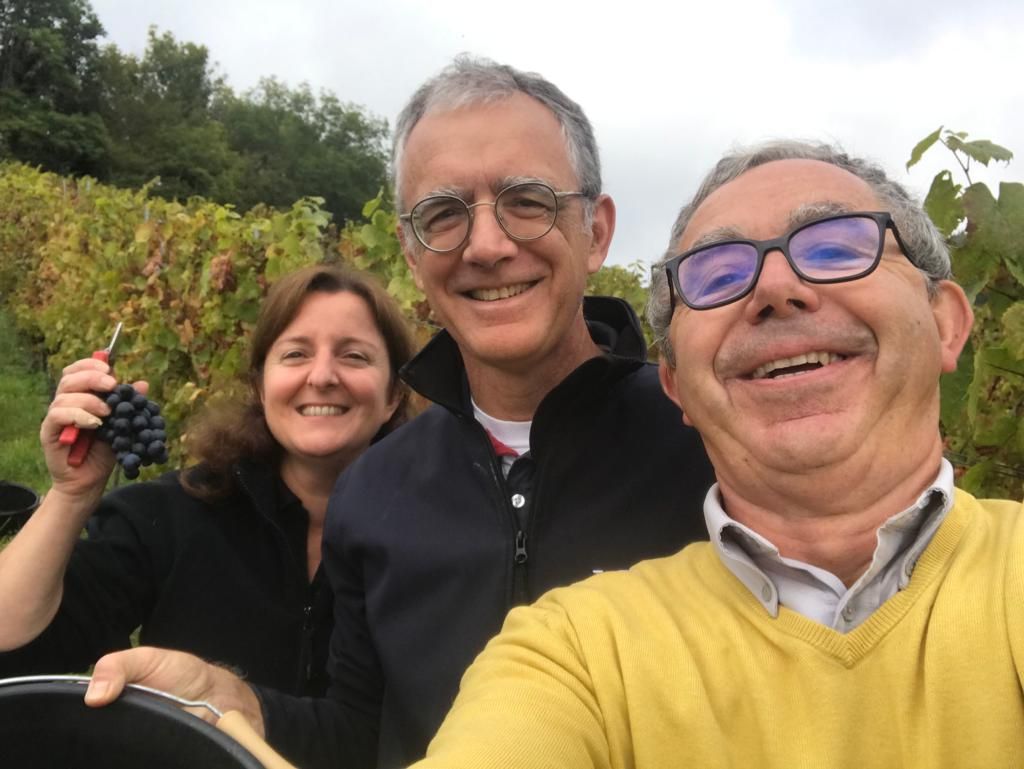 Passage en Beaujolais pour vendanger avec les amis <a href="/vignevinfrance/">IFV</a> Christophe Riou, nouveau directeur de l' IFV 👏💪