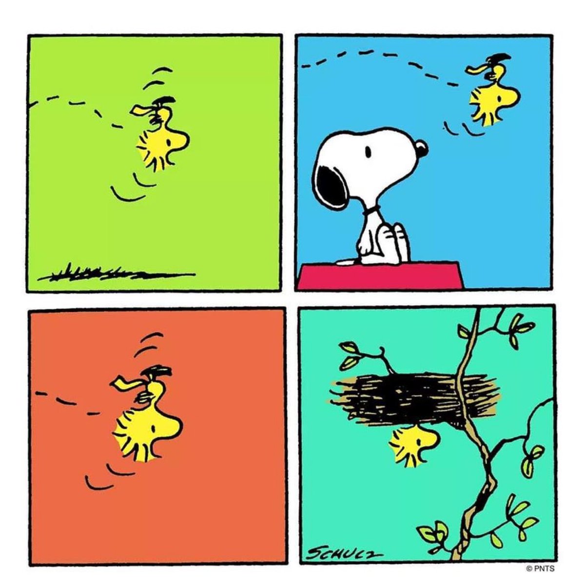 Bart Sjerps tweet media