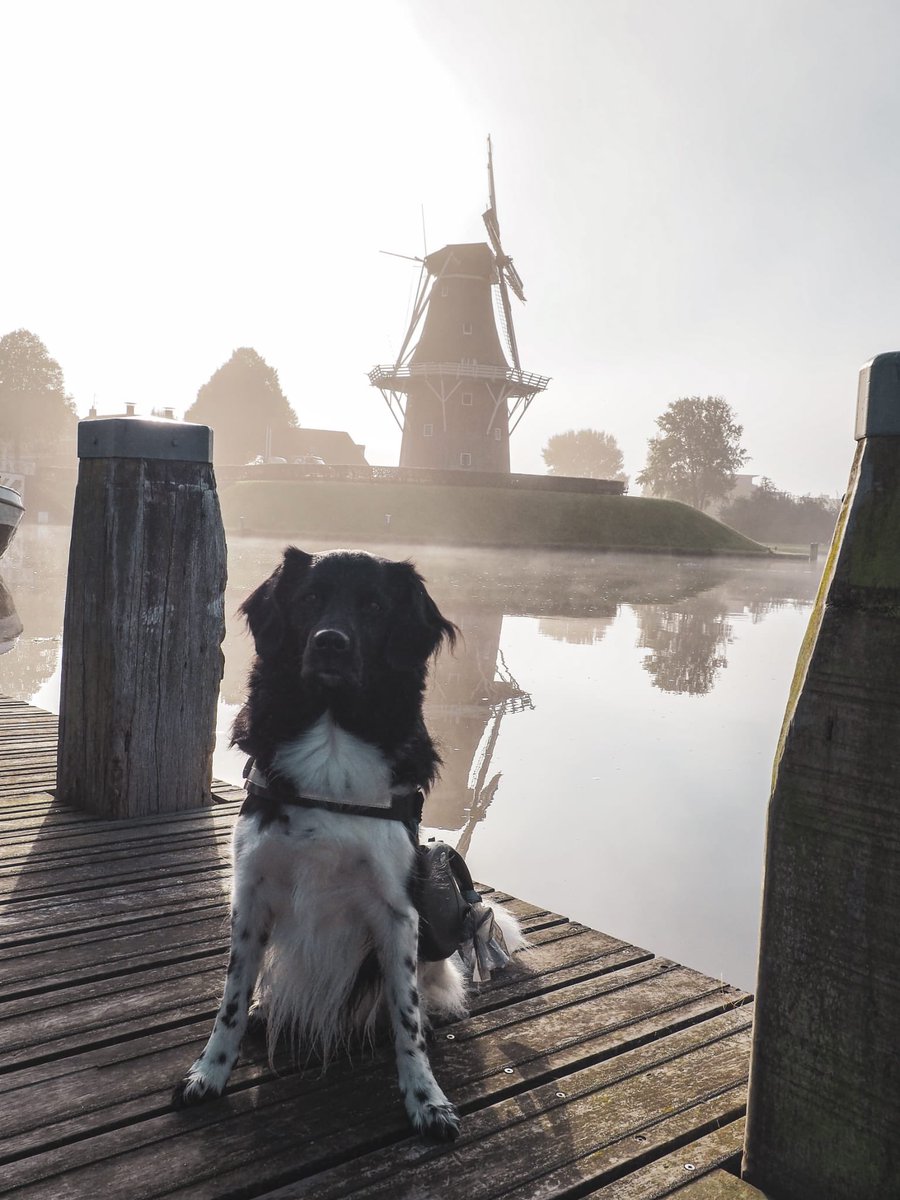On this misty mornin' in this old town… #Dokkum