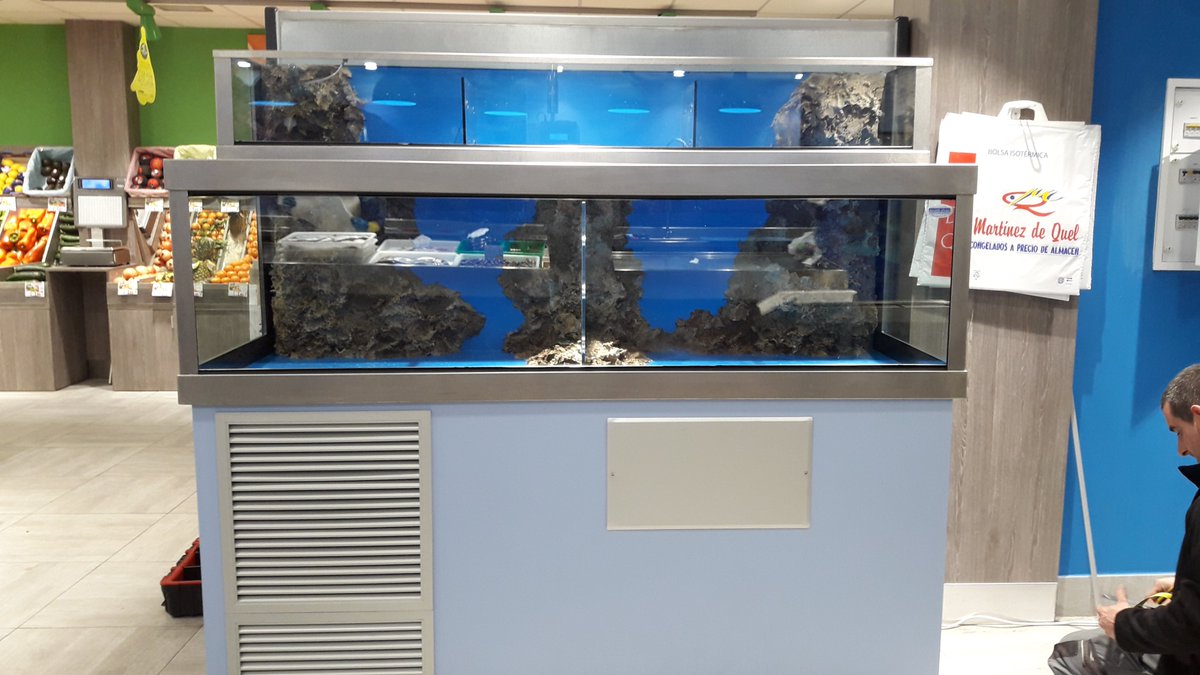InfoLaProa's tweet photo. Asesoramiento, diseño y fabricación de viveros para #marisco, depuradoras de #bivalvos con filtración biológica. #conxemar2021 #acuarios #crustáceos #acuariomarisquero #marisquero https://t.co/9pKgyWWUtD