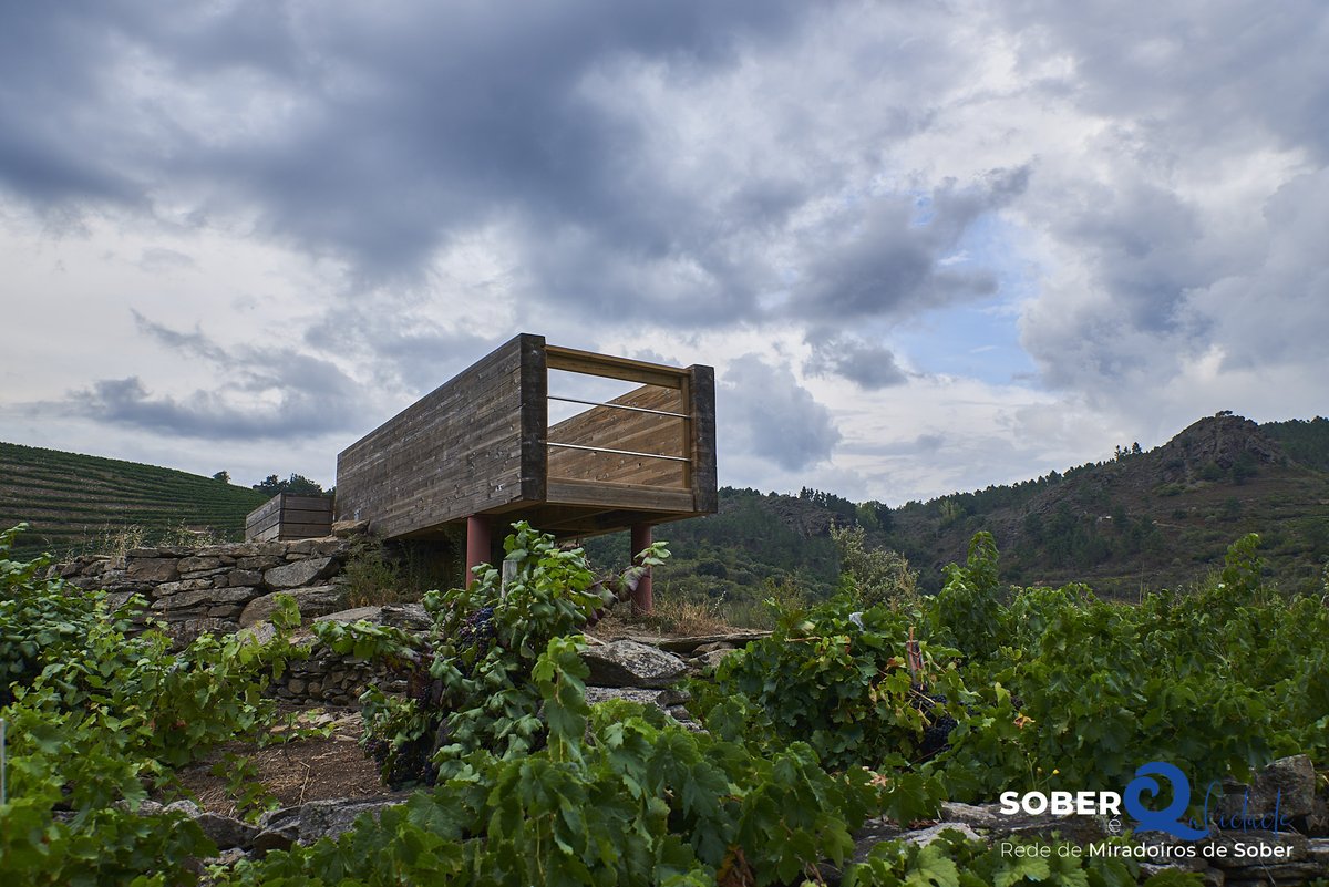 ConcellodeSober's tweet photo. 💚 Sober é Qalidade. Rede de Miradoiros de Sober.

📍 Miradoiro de Soutochao. Doade.

Fotos de Emilio Romanos. https://t.co/KLGumoB0q8