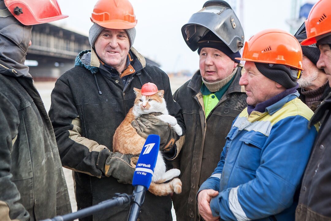 CatWorkers's tweet photo. https://t.co/YG9o0kUm5T