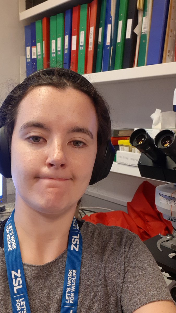 Belfast_Ash9's tweet photo. #IAmABiologist completing my #PhD @ZSLScience and @UCL. I work with threatened bird species to investigate the drivers of #HatchingFailure. Sometimes #PhDLife means getting to explore amazing places, other times it means getting annoyed at microscopes in the #lab!
@RoyalSocBio https://t.co/3g5JSnJUFL