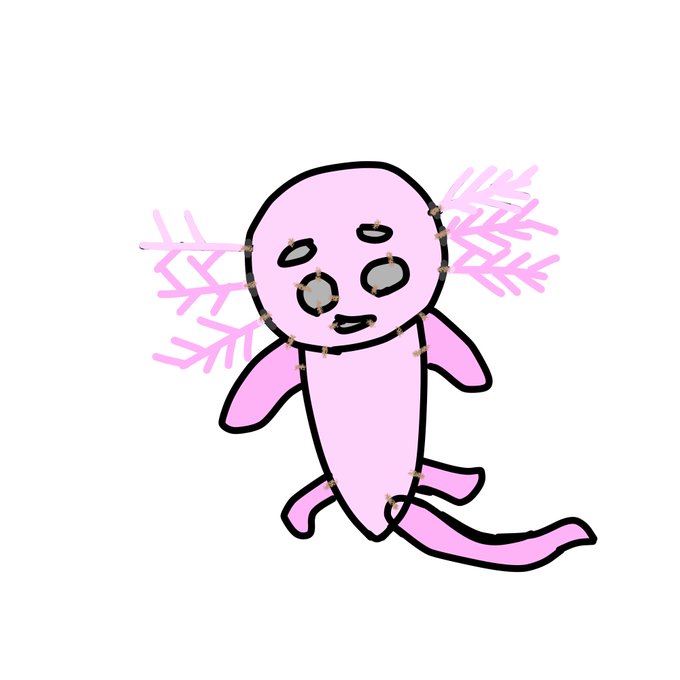 ウーパールーパーのtwitterイラスト検索結果 ウーパールーパーのtwitterイラスト検索結果