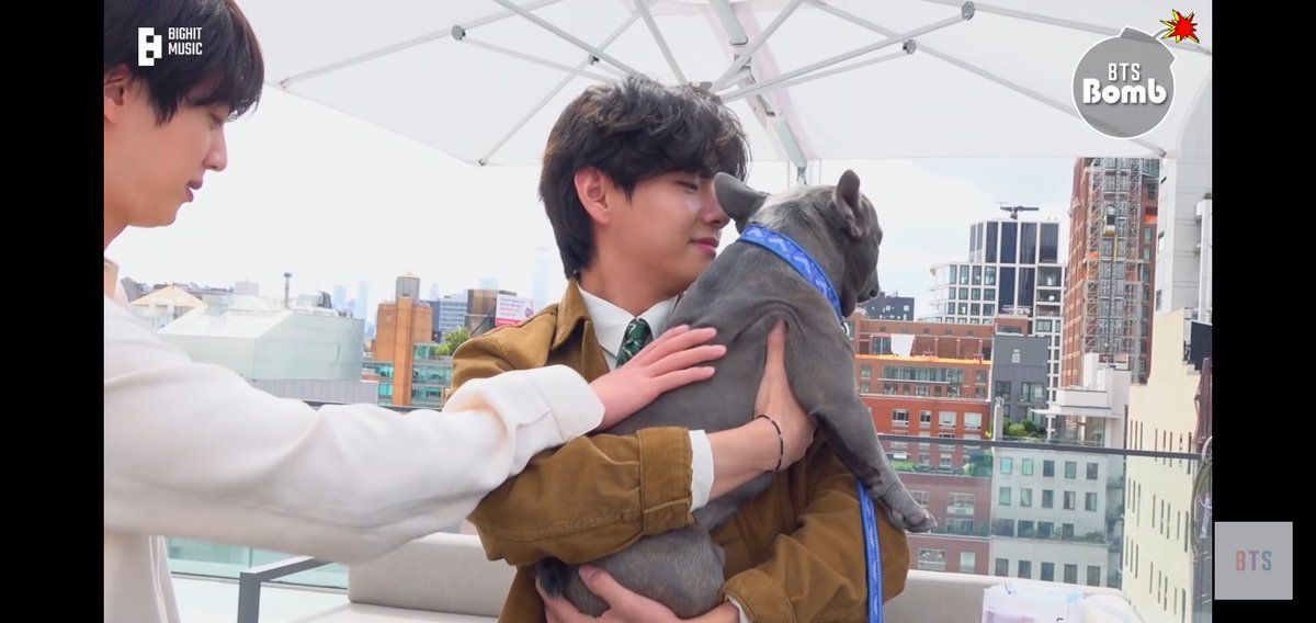 patyani's tweet photo. Taehyung is animal's magnet. 
4oe immediately came running towards Tae and comfortably still in his arms 🐶💜 @theestallion

#buttercrew #btsxmegantheestallion 
#megantheestallion https://t.co/YBrrH87XLz