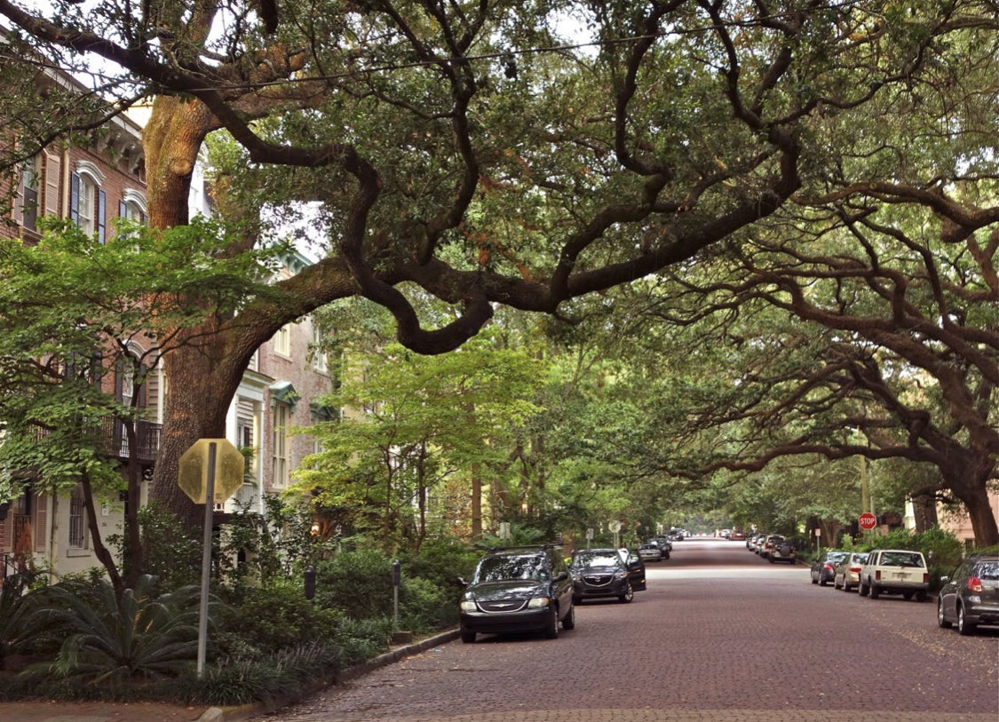 Unlike Charleston, Savannah didn’t offload authority and responsibility for most city streets to the state DOT. A line was held against the asphalt industrial complex and beautiful, pervious, lower maintenance, traffic-calming brick streets were preserved.