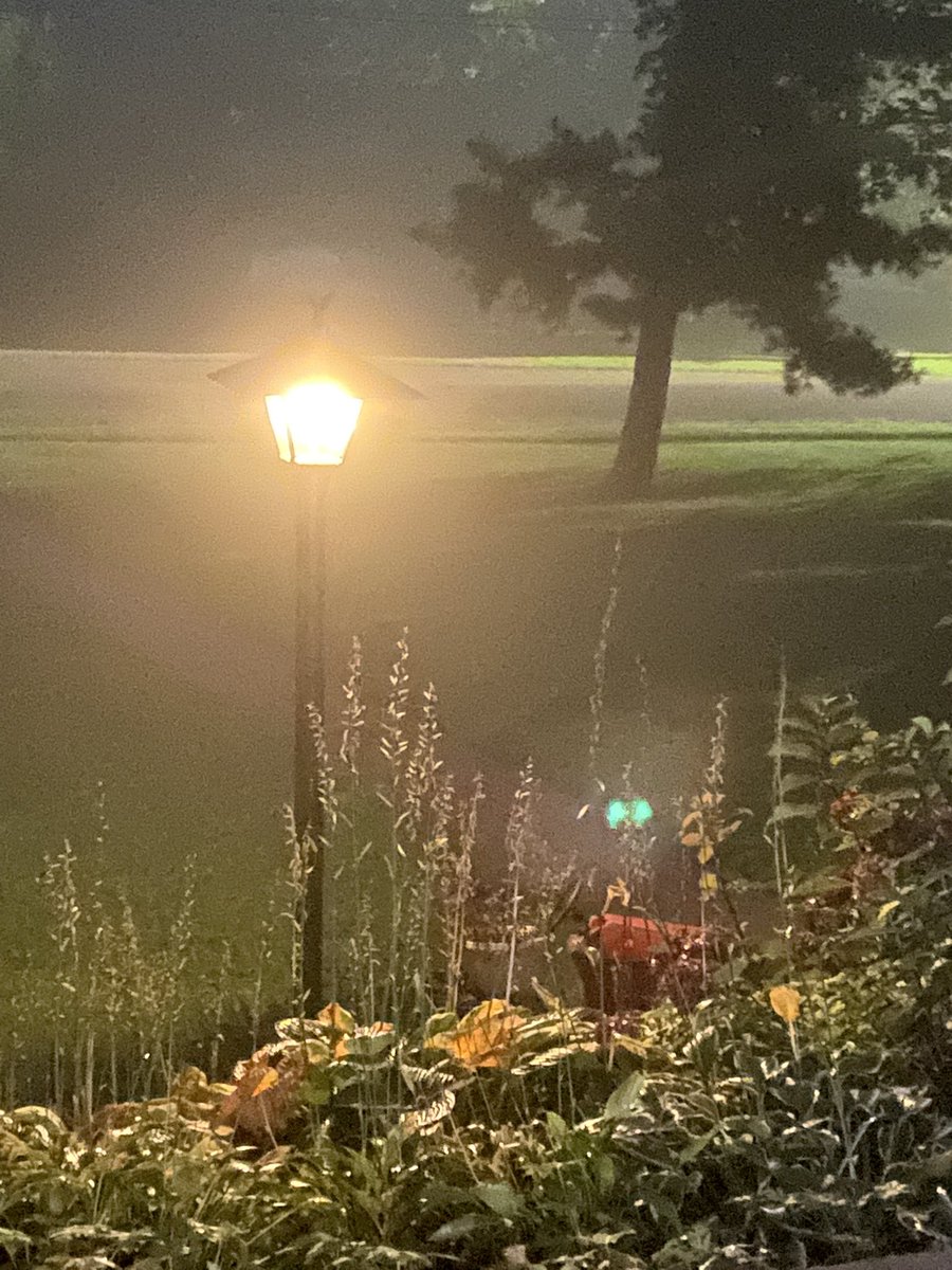 NickGale_WLS's tweet photo. Pretty foggy start to the morning @TWCRayStagich @wlsam890 #nwburbs https://t.co/Uqc1x9SkUE