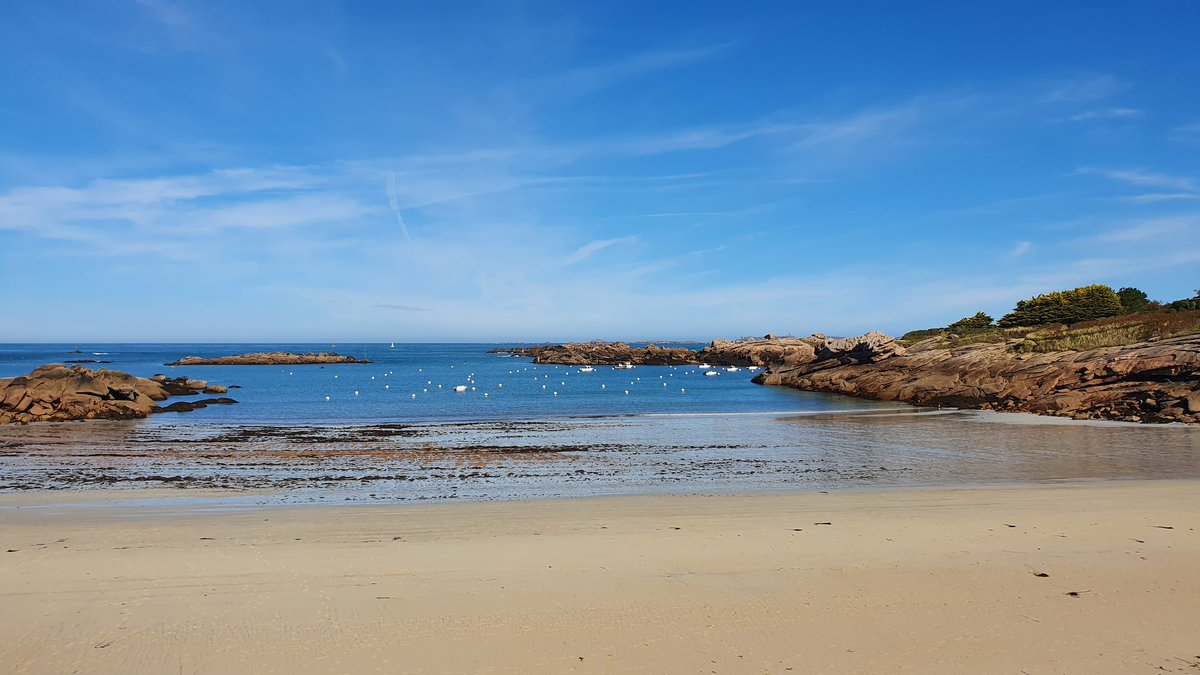 Licha_22's tweet image. #workinlannion