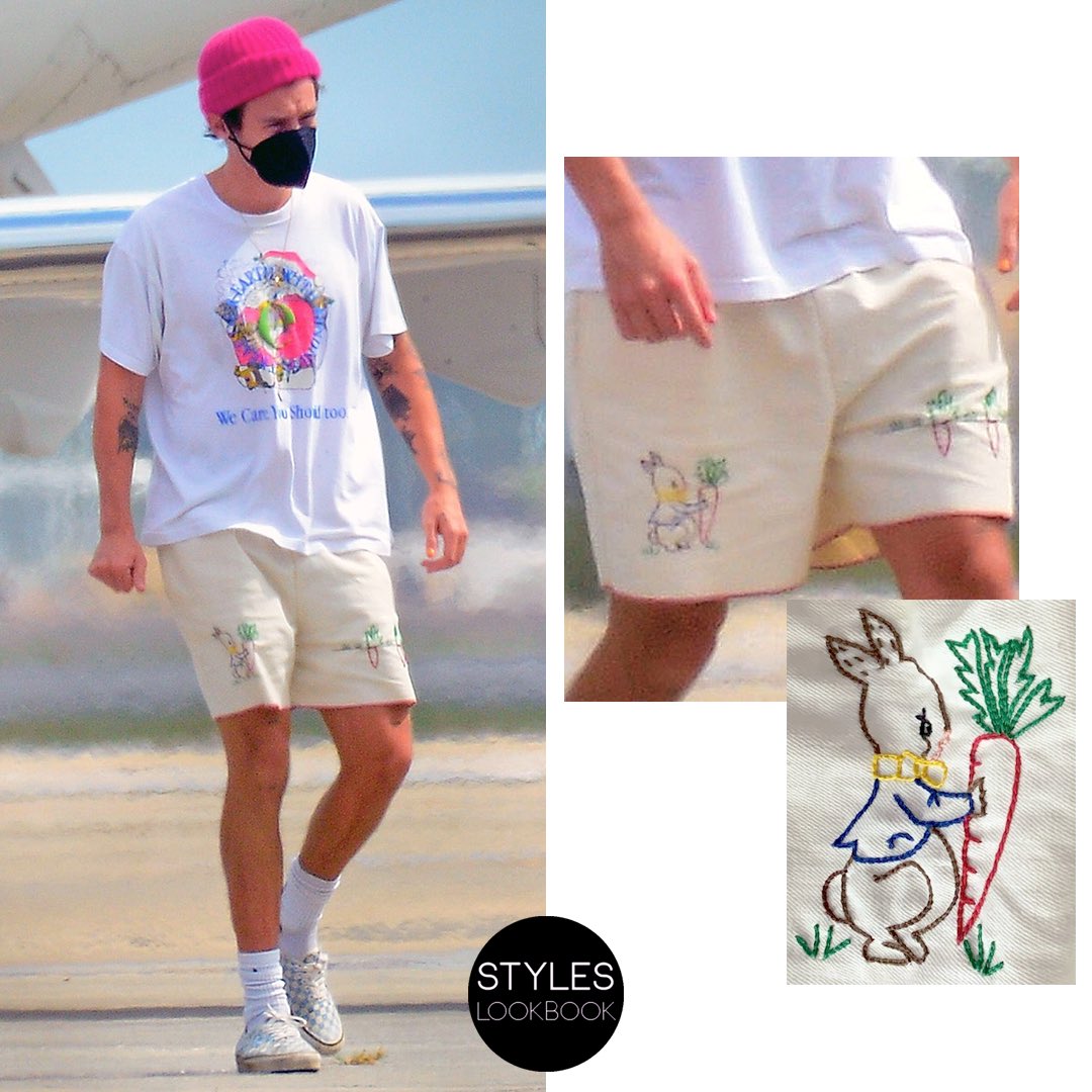 Harry Styles Lookbook on X: #Update These #Harago 'carrot farm'  embroidered shorts ($340) are now available online.    / X