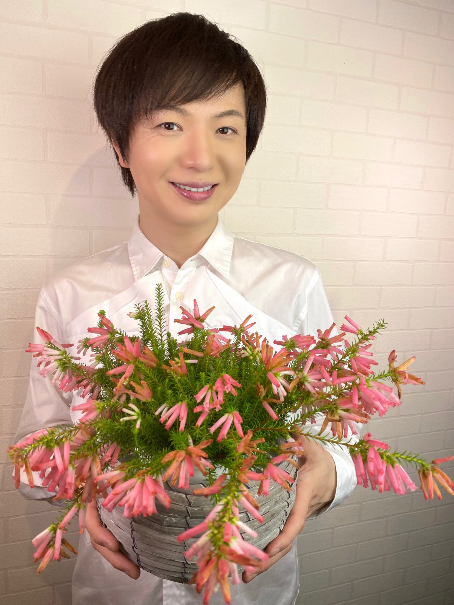 竹島宏スタッフ 公式 エリカ リンネオイデス 花言葉は 博愛 ポンポンはじけた感じが 可愛らしい 長い壺みた いで不思議な形 花はおもしろいですね 今日も１日お疲れ様でした ひろネット 花便り 花言葉 花 感謝 絆 T Co