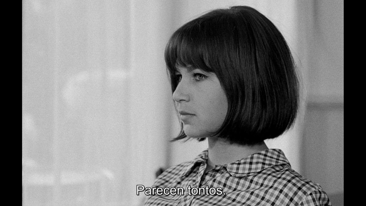 CinetecaMadrid's tweet photo. 🎞️Esta tarde en #CinetecaMadrid nueva sesión de cortos del #Foco la "Nouvelle Vague, Un comienzo". Un ciclo que rastrea los primeros pasos de sus más emblemáticos autores.
Entradas aquí:
https://t.co/j3I6UjhPKs
#Nouvellevague @proserpafilms #Rouch #Resnais #Pialat #Reichenbach https://t.co/9edWCVaCMu