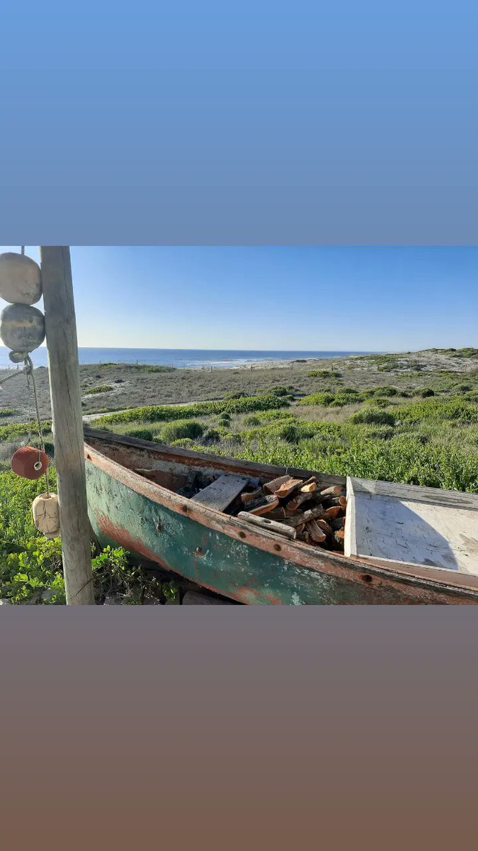 cthomc's tweet photo. Picture perfect Westcoast. Grootvlei Guest Farm, Lamberts Bay https://t.co/CN5iS6jhhG