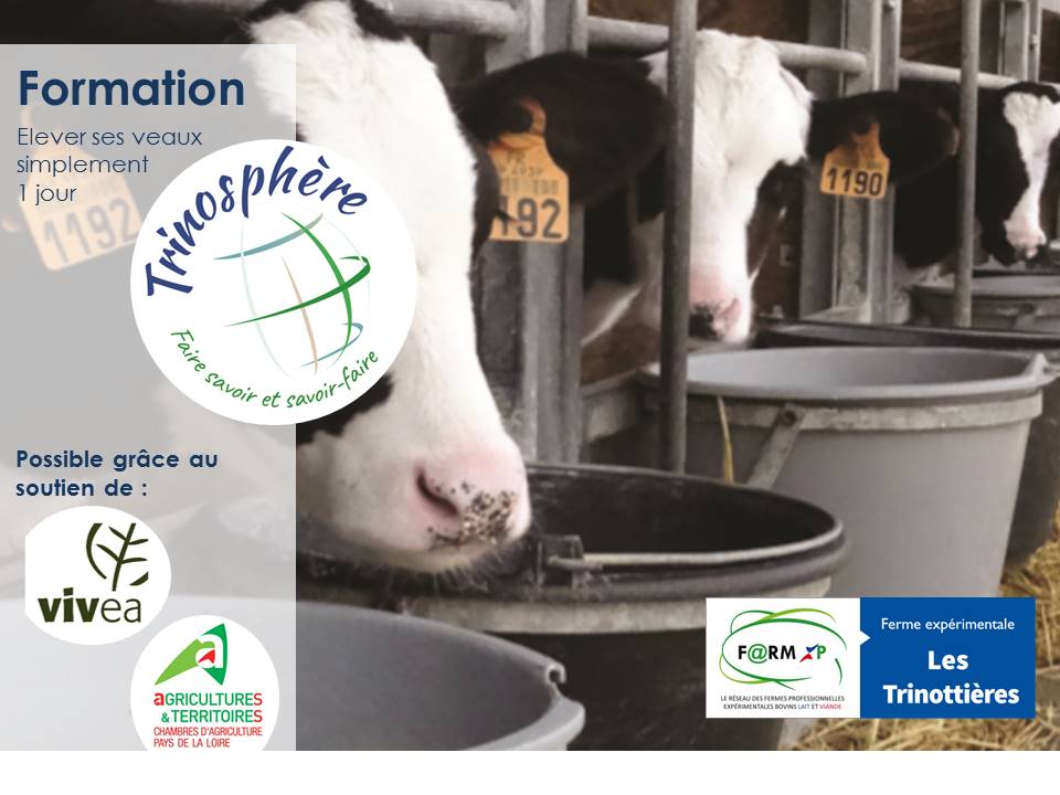 Après la Portes Ouvertes, on remet ça....
Une formation: Élever ses veaux simplement avec David Plouzin weezevent.com/trinosphere-el… D'autres formations ou visites vous sont proposées... C'est par ici: cutt.ly/1E13vSG @B_Rouille_Idele <a href="/Fragritwittos/">FranceAgritwittos♥️</a> <a href="/ChambagriPdL/">Chambres agri PdL</a> <a href="/Farmxp1/">Farmxp</a>