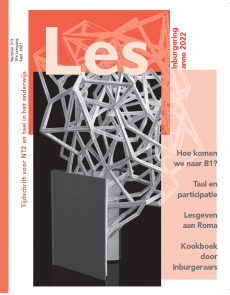 Les nummer 219 is uit! Opnieuw een nummer over de nieuwe #inburgering, met dit keer speciale aandacht voor de verhoogde taaleis oftewel 'Hoe komen we naar B1?', en de combinatie van taalverwerving en participatie. #NT2 #Inburgering #Zroute #VOI