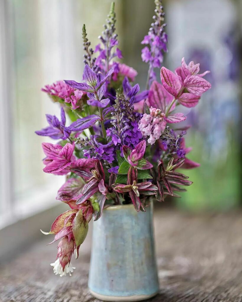 AtWaG's tweet photo. The Linaria I cut back a couple of weeks ago are already flowering again and the late sown Clary is doing its bright, slightly gaudy thing. There's a bit of Hebe foliage in there as well as Statice and a droopy bit of Pheasant Berry. Vase/Jug by @sharonn… https://t.co/yCg7zBF4OM https://t.co/AYVW2GqSkm