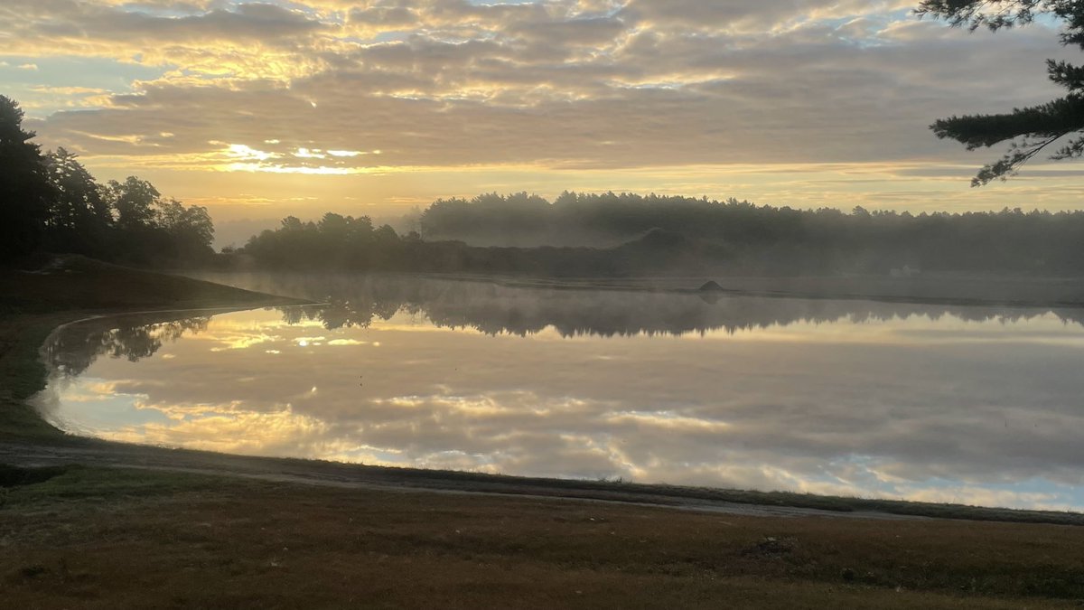 CjPatota41's tweet photo. ⁦@ShiriSpear⁩ Fog burning off the bogs in Carver. https://t.co/V0p7Pw5wjQ