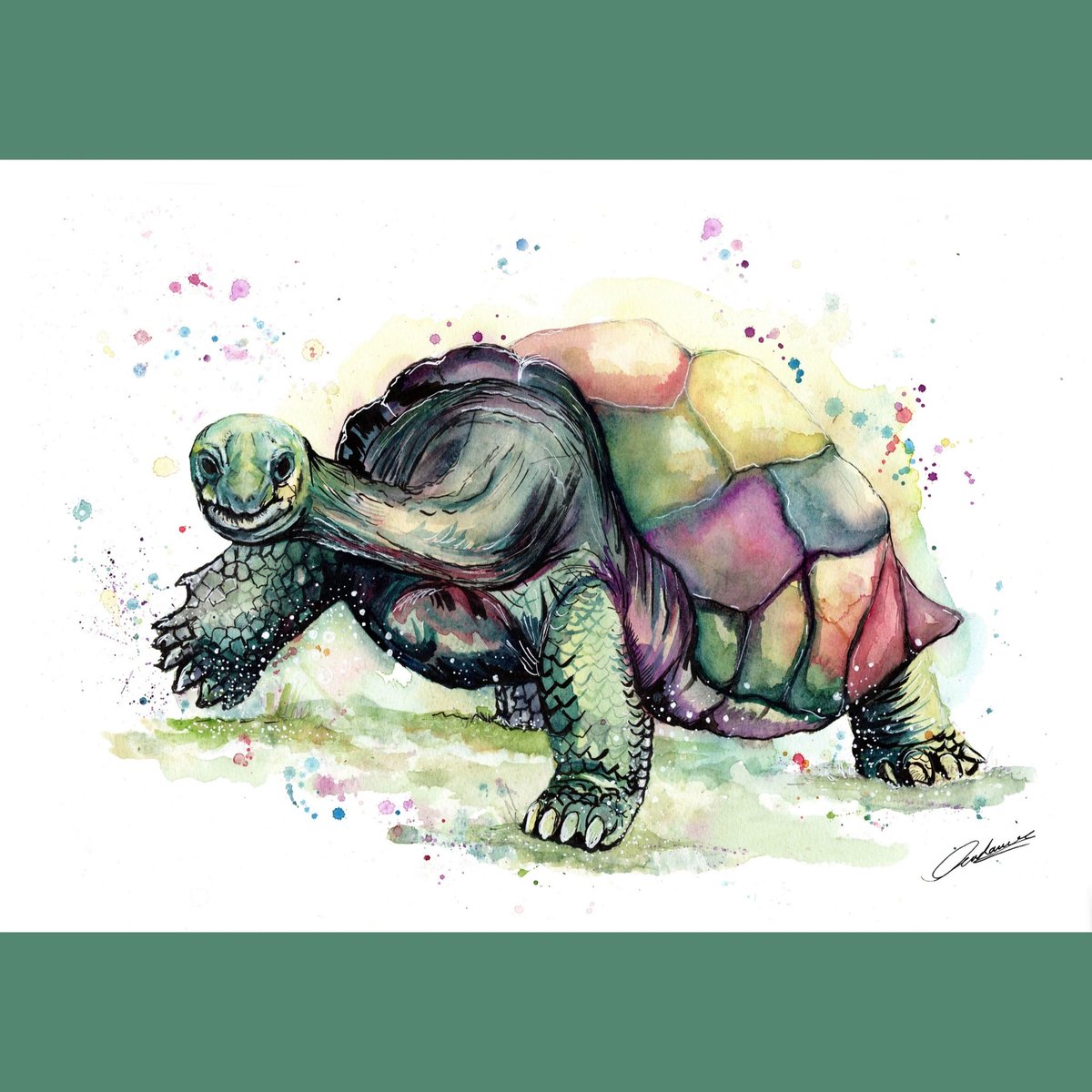 WO_Watercolour's tweet photo. That Friday feeling after having covid #FridayFeeling #Covid_19 #monday #tortoise #weekendvibes #Autumnvibes #october #TrendingNow #reptile #art #ArtistOnTwitter #painting #watercolour #homedecor #christmasgiftideas #Sales #funny  #naturelovers #friday
https://t.co/dVkB8Ii6mP https://t.co/0sutwvIy6D