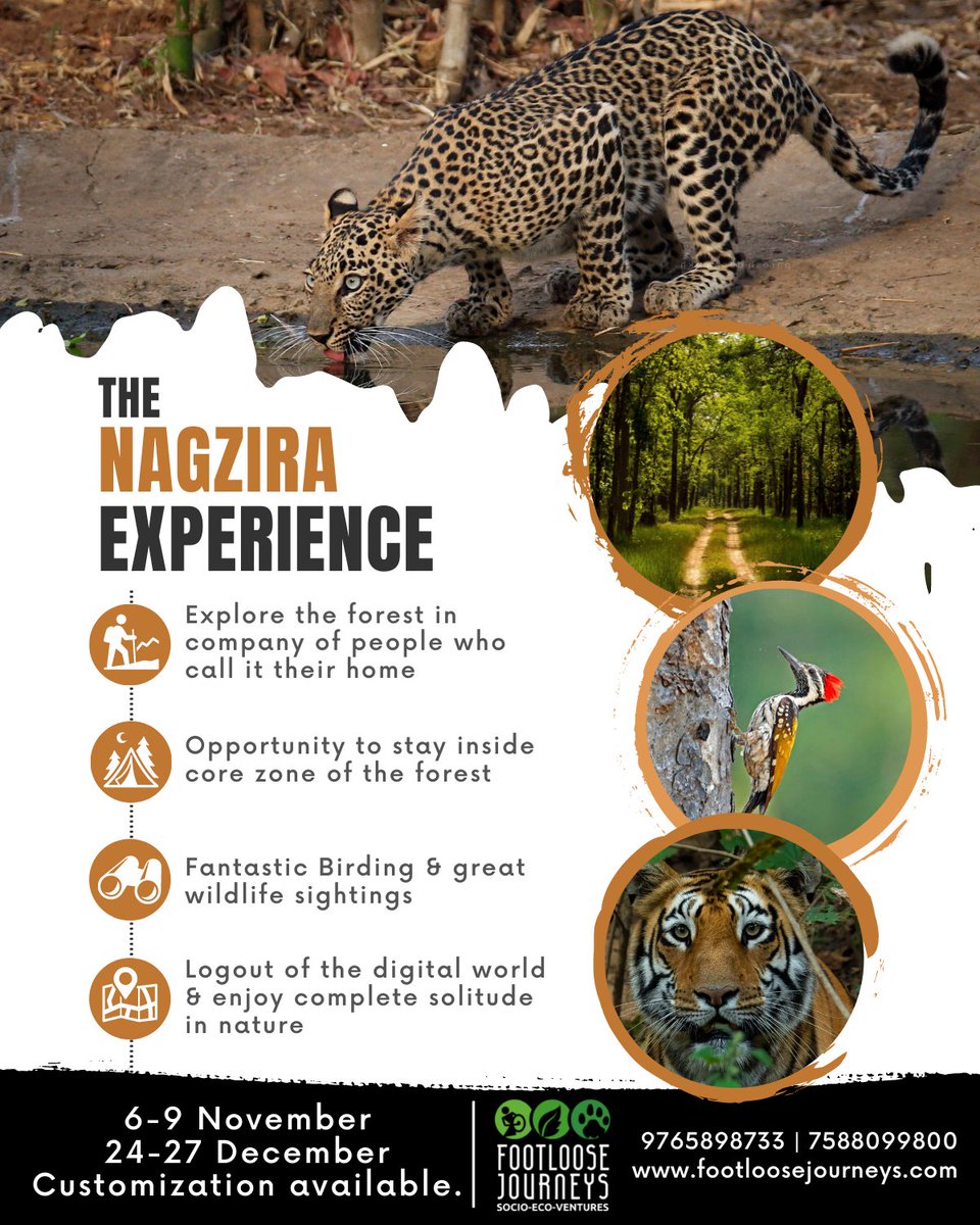 Footloose_India's tweet photo. For three days, we will take you deep inside the jungle at a cozy forest guesthouse where you will feel one with #nature again!
Join in to observe beautiful #wildlife, and feel the soul of the #forest.
DM for details!
#FootlooseJourneys #SocioEcoVentures #birds #animals #travel https://t.co/VLWgOKVb5q