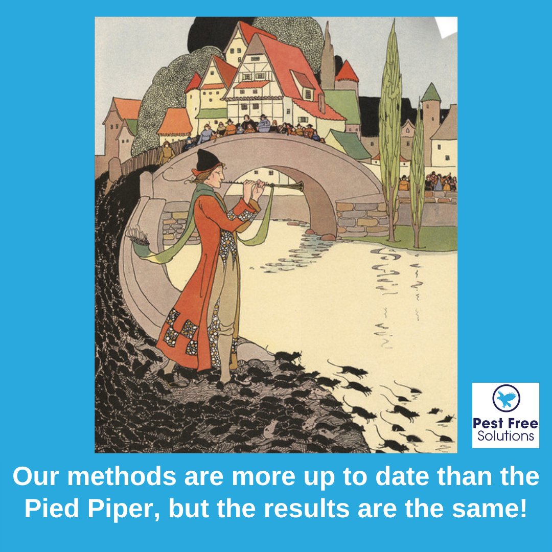 You've heard of the Pied Piper?  Our methods are more up to date but the results are the same! If you have an infestation we'd love to get to grips with it for you!

bit.ly/3dw7DuB